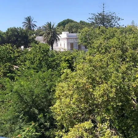 Paraskevi's - Center W/ Lovely Park View