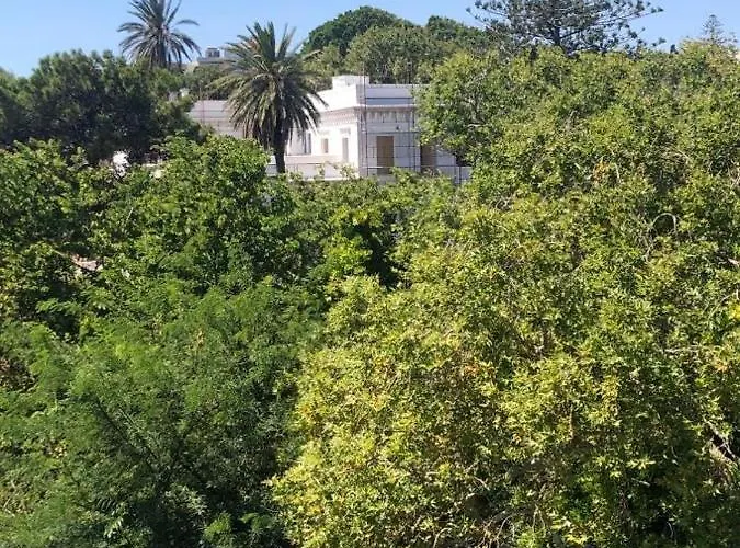 Paraskevi's - Center W/ Lovely Park View